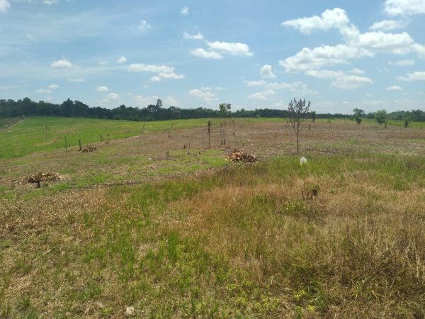 Tanah luas 12 Hektar bagus untuk Perumahan, Kavling dan Investasi di Baturaja